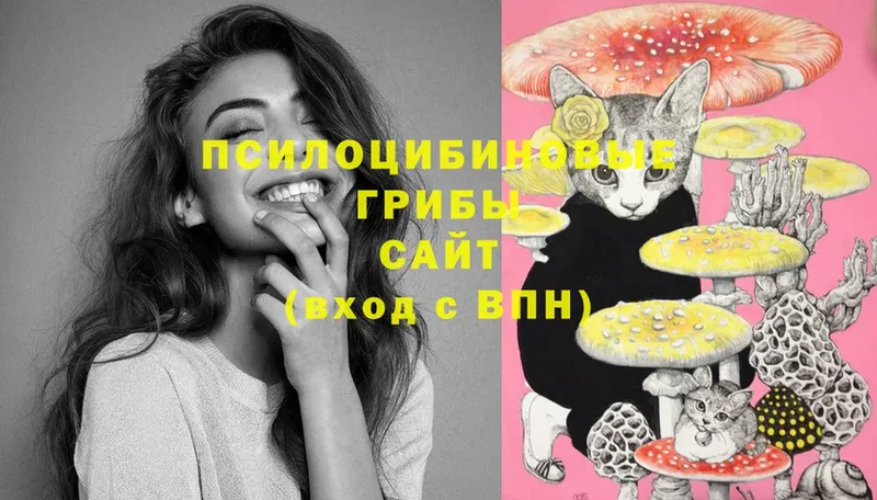 что такое наркотик  Кизел  МЕГА tor  Галлюциногенные грибы мицелий 